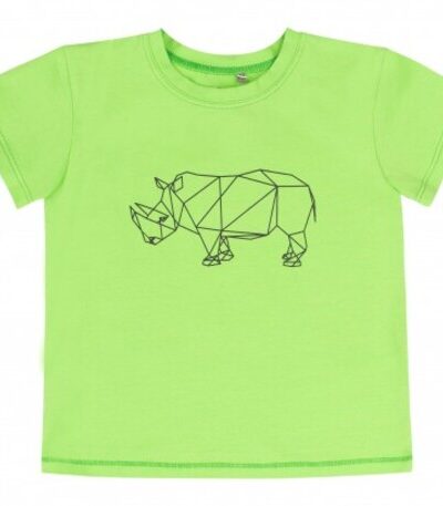 Koszulka z krótkim rękawem t-shirt chłopiec