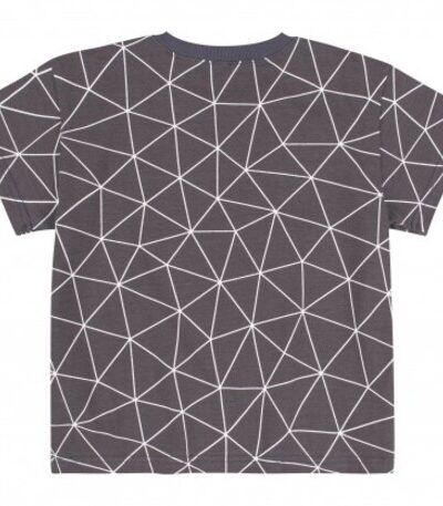 Koszulka z krótkim rękawem t-shirt chłopiec